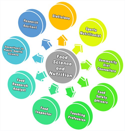 MSc_FSN_Dept_Profile